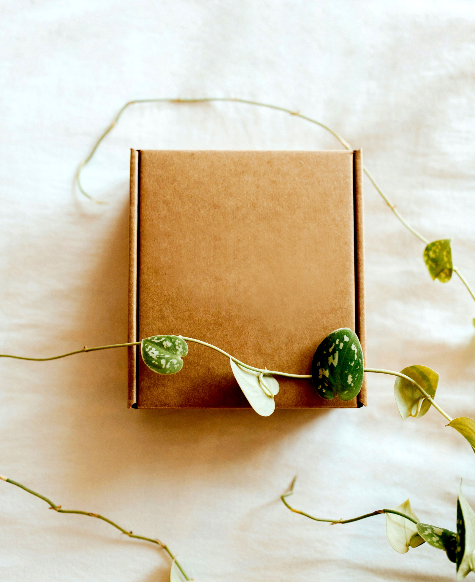 Impactio-packaging-sostenibile-il-futuro-dell-imballaggio-e-green impactio-packaging-sostenibile-il-futuro-dell-imballaggio-e-green